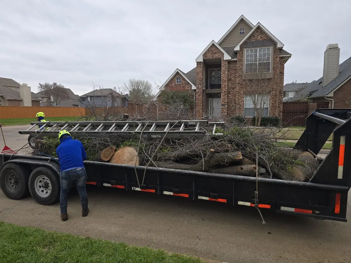 Expert Tree Removal with proper safety equipment in Pittsboro